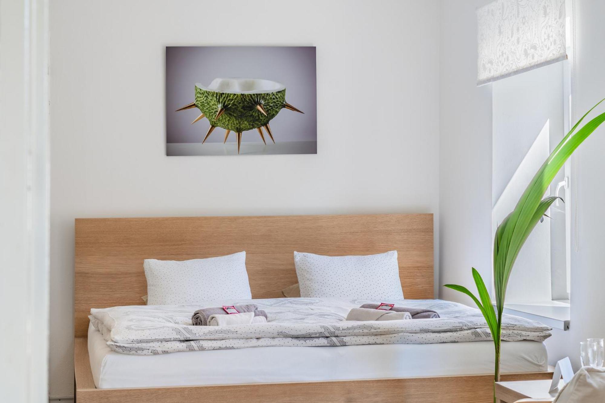 Rozarka Apartment *