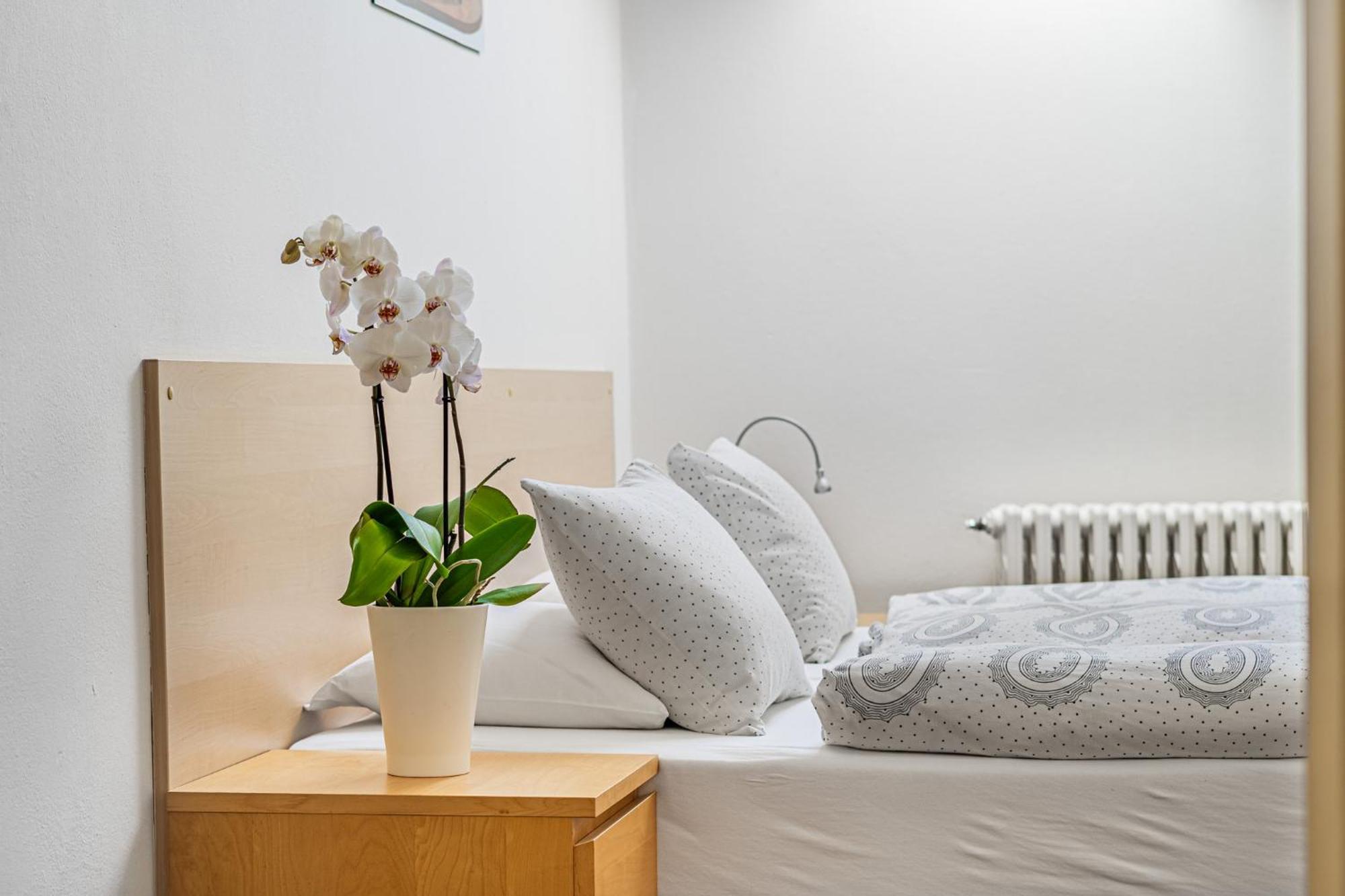 Rozarka Apartmán Turnov
